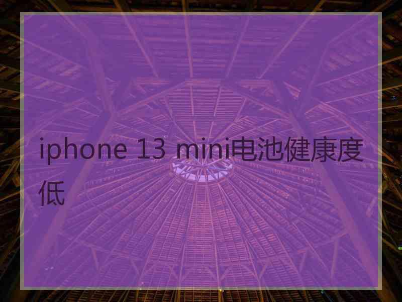 iphone 13 mini电池健康度低