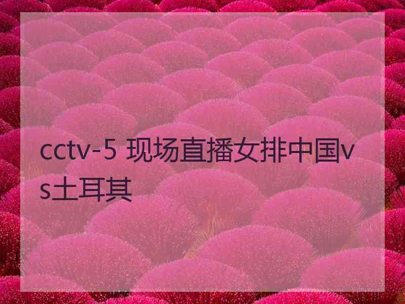cctv-5 现场直播女排中国vs土耳其