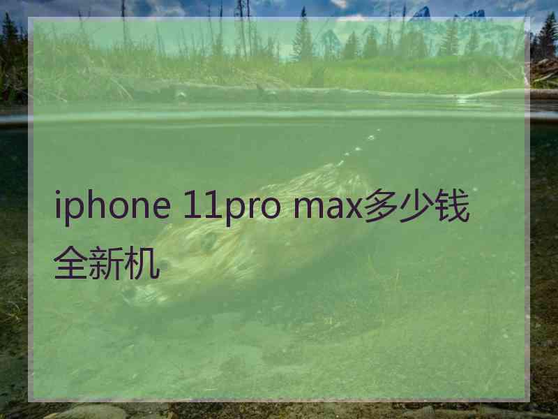 iphone 11pro max多少钱全新机