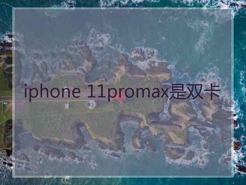 iphone 11promax是双卡