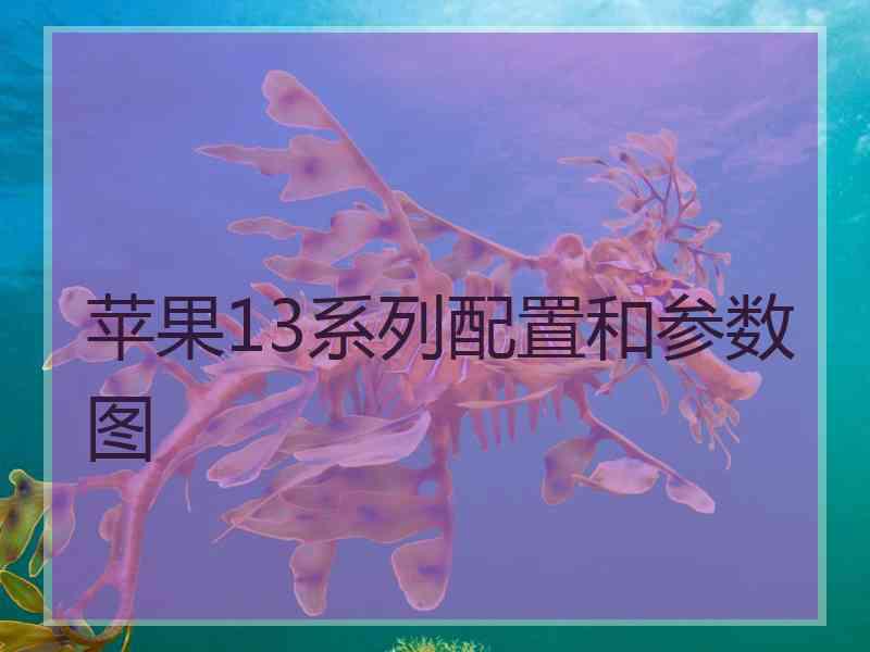 苹果13系列配置和参数图