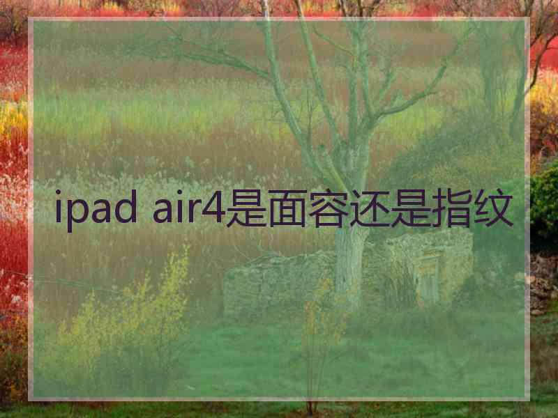 ipad air4是面容还是指纹