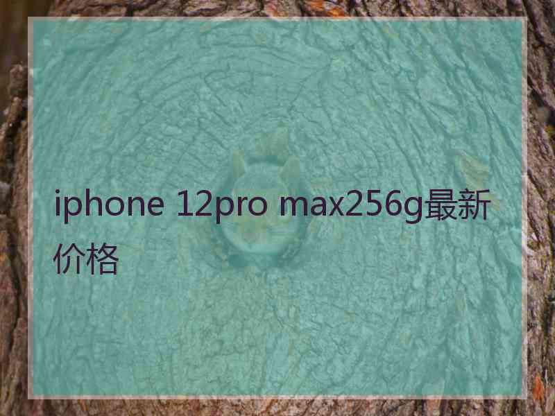 iphone 12pro max256g最新价格