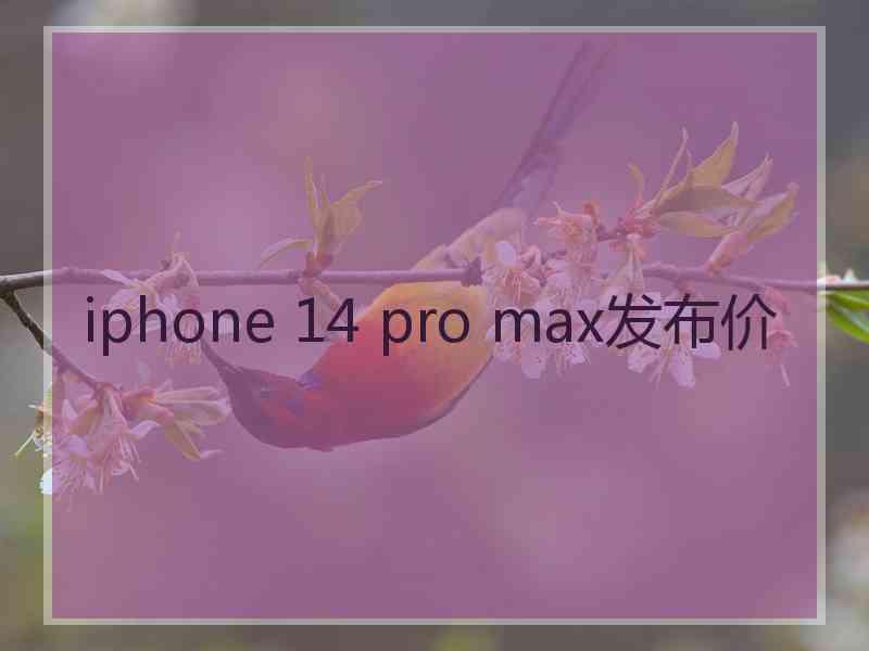 iphone 14 pro max发布价