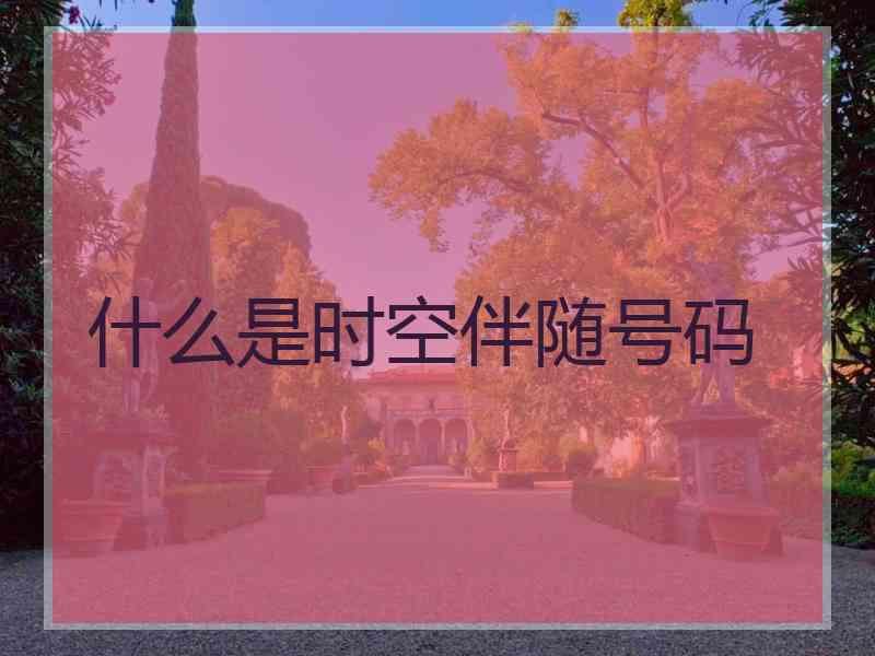 什么是时空伴随号码