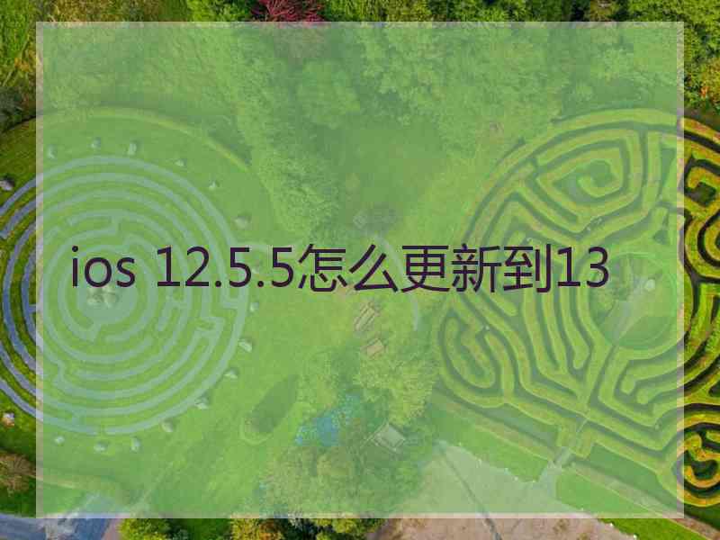 ios 12.5.5怎么更新到13