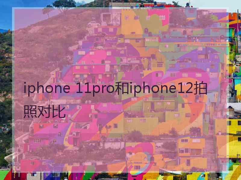 iphone 11pro和iphone12拍照对比