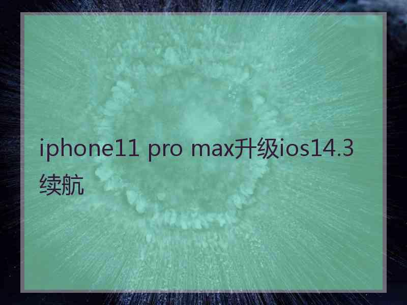 iphone11 pro max升级ios14.3续航