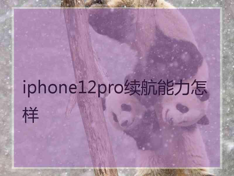 iphone12pro续航能力怎样