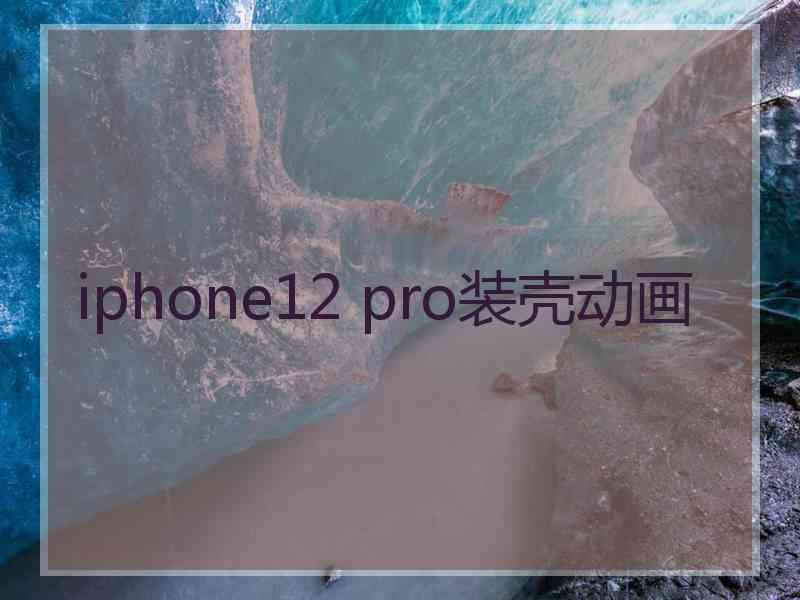 iphone12 pro装壳动画