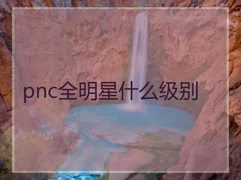 pnc全明星什么级别