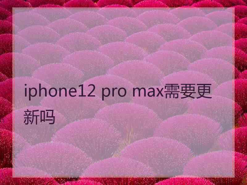 iphone12 pro max需要更新吗