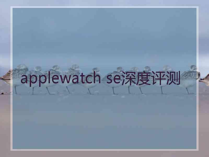 applewatch se深度评测