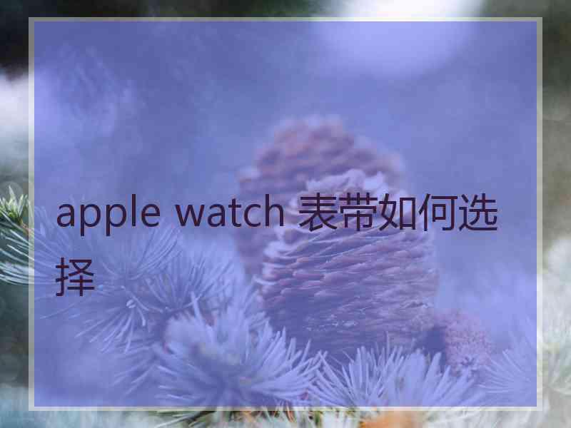 apple watch 表带如何选择