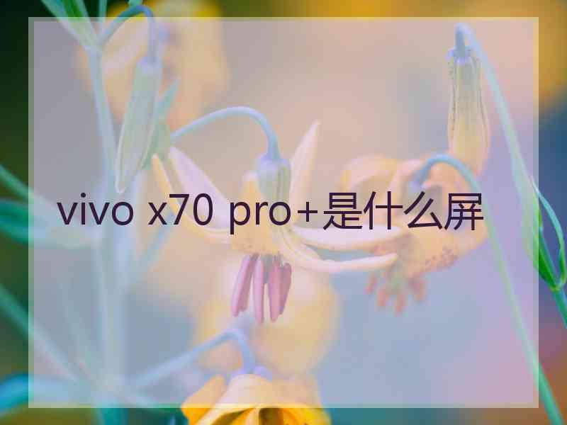 vivo x70 pro+是什么屏