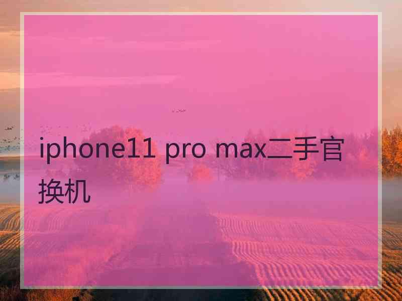 iphone11 pro max二手官换机