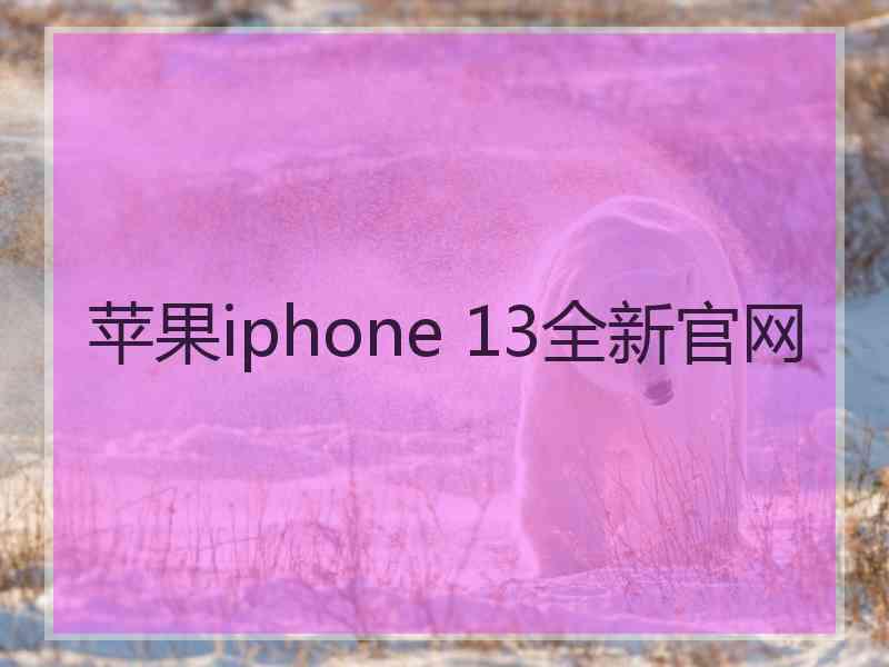 苹果iphone 13全新官网