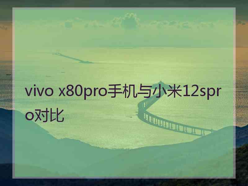 vivo x80pro手机与小米12spro对比