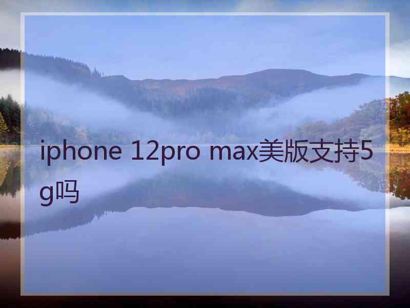 iphone 12pro max美版支持5g吗