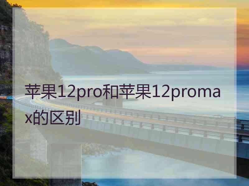 苹果12pro和苹果12promax的区别