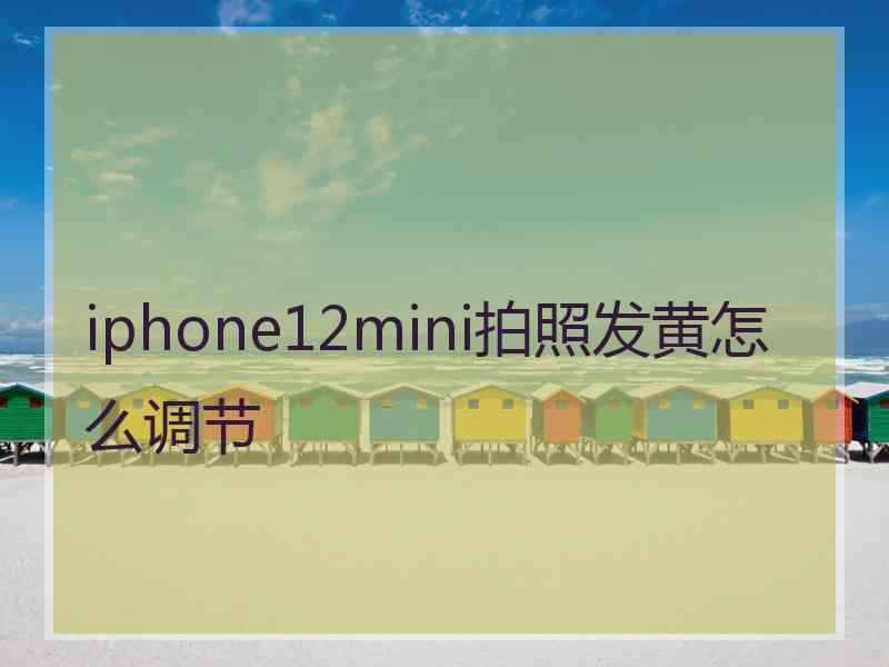 iphone12mini拍照发黄怎么调节