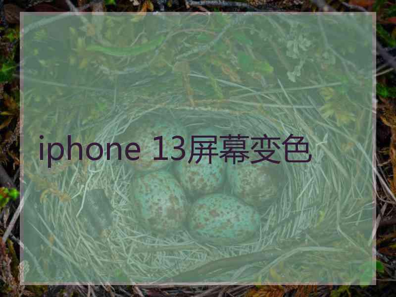 iphone 13屏幕变色