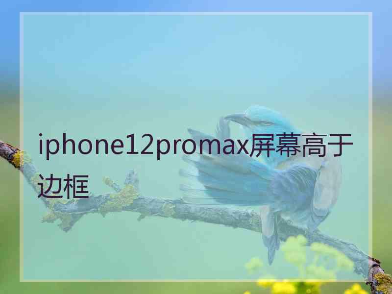 iphone12promax屏幕高于边框