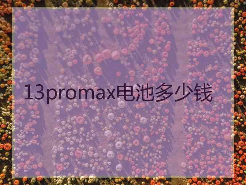 13promax电池多少钱