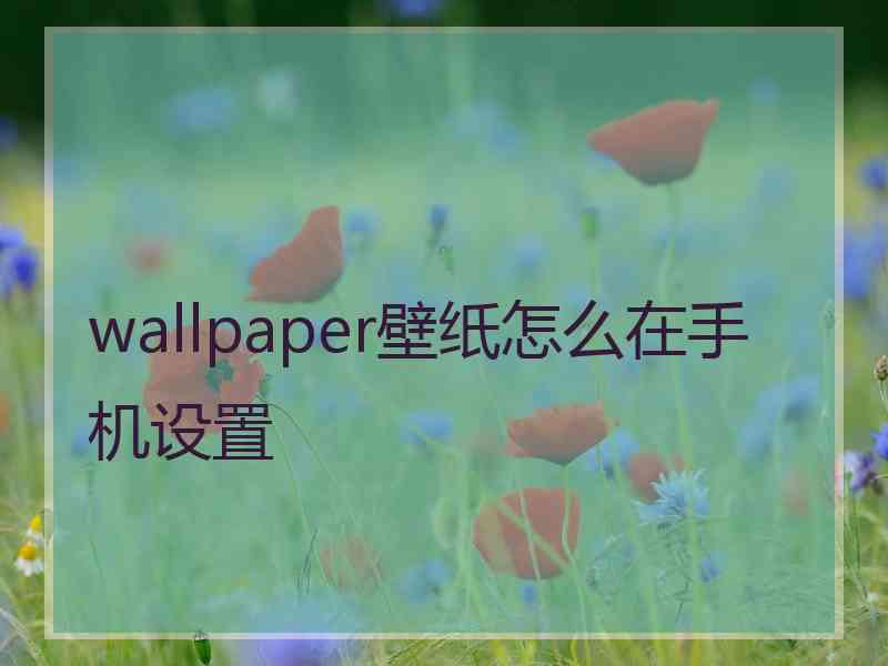 wallpaper壁纸怎么在手机设置