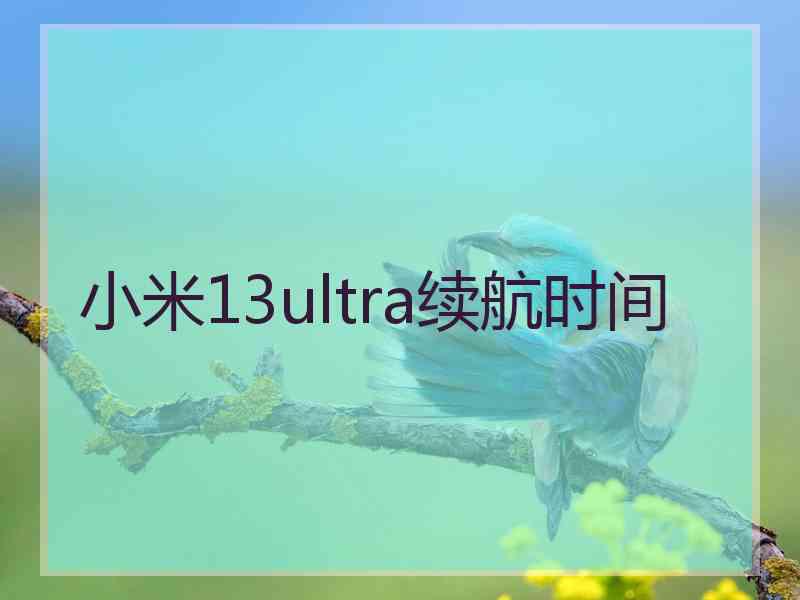 小米13ultra续航时间