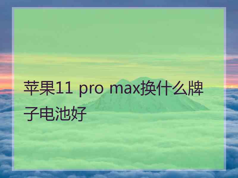 苹果11 pro max换什么牌子电池好