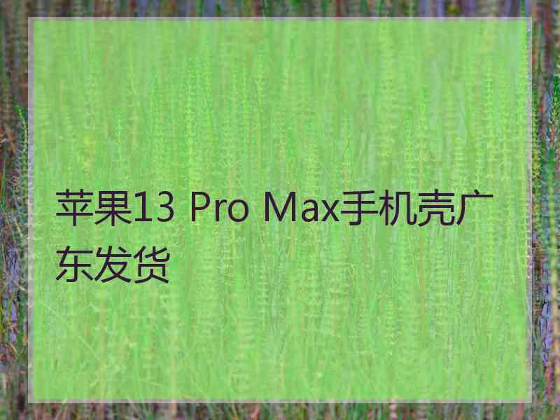 苹果13 Pro Max手机壳广东发货