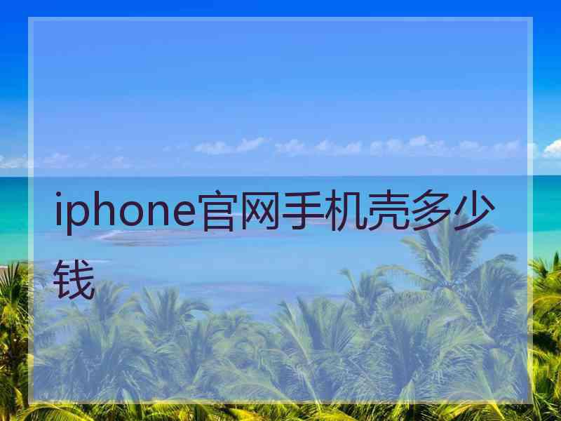 iphone官网手机壳多少钱