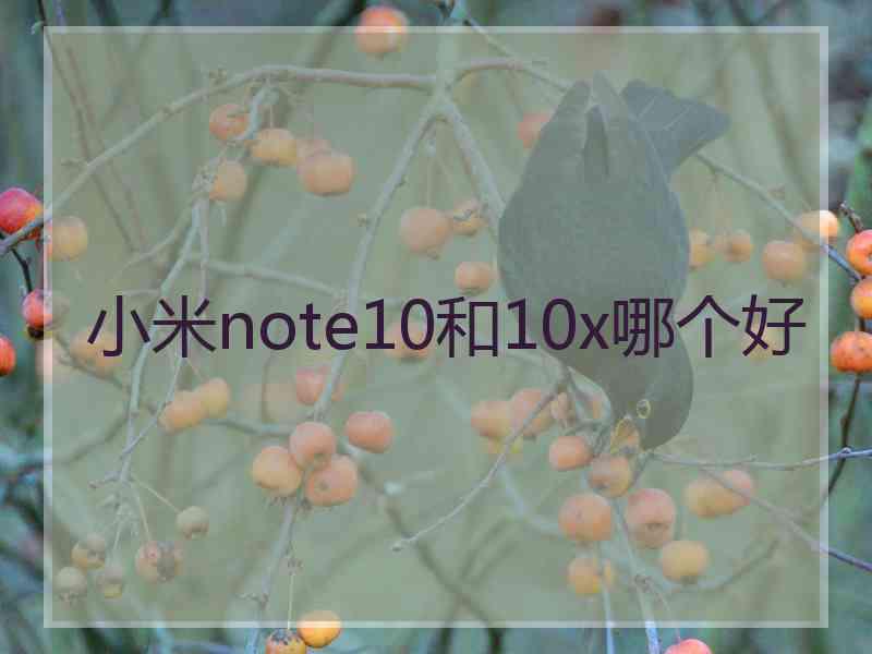 小米note10和10x哪个好