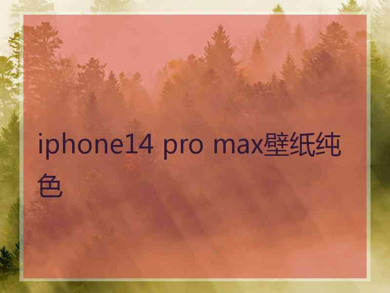 iphone14 pro max壁纸纯色