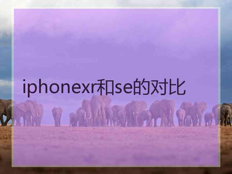 iphonexr和se的对比