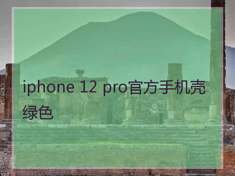 iphone 12 pro官方手机壳绿色