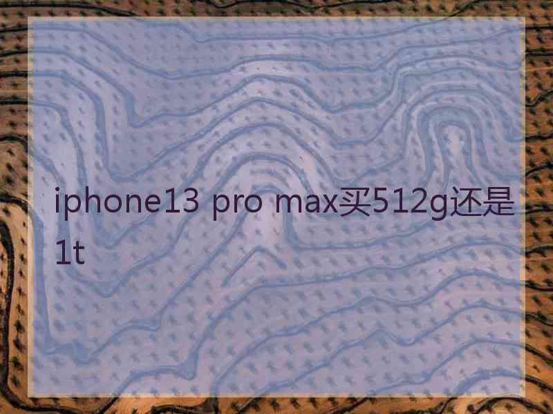 iphone13 pro max买512g还是1t