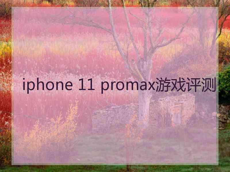 iphone 11 promax游戏评测