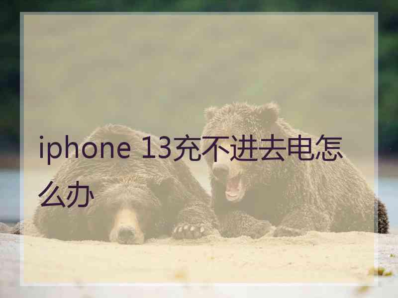 iphone 13充不进去电怎么办