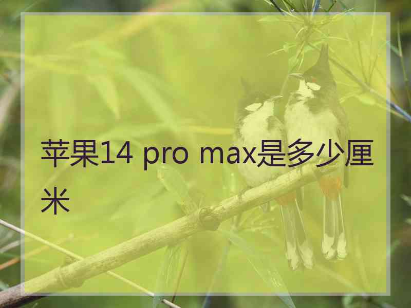 苹果14 pro max是多少厘米