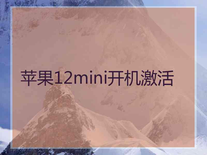 苹果12mini开机激活