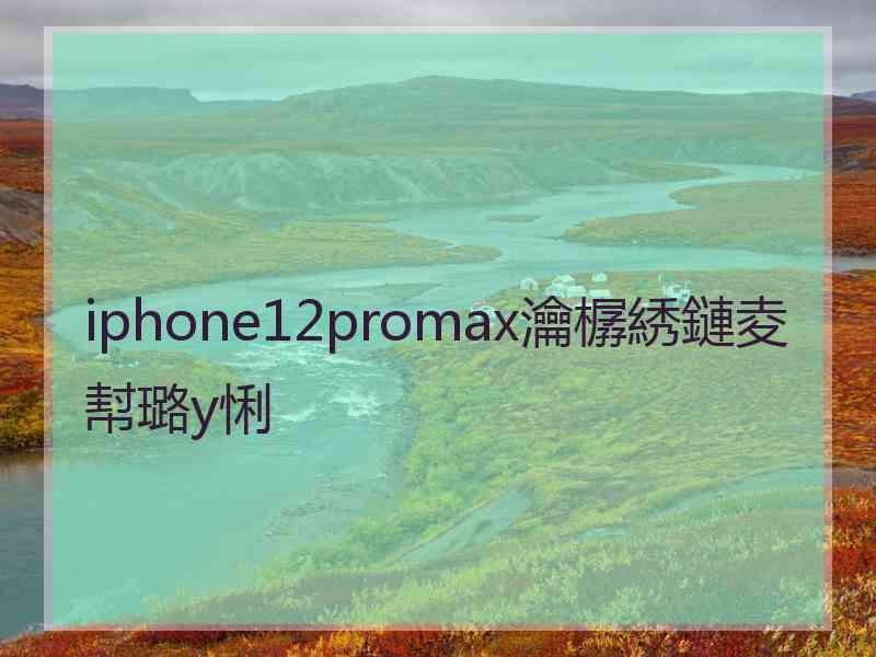 iphone12promax瀹樼綉鏈夌幇璐у悧