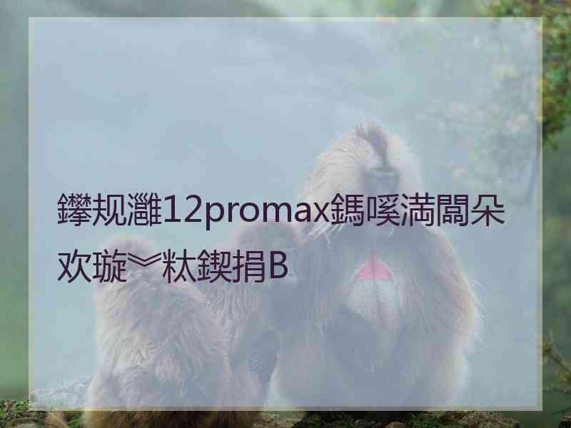 鑻规灉12promax鎷嗘満闆朵欢璇︾粏鍥捐В