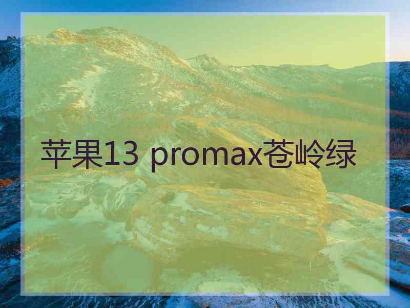 苹果13 promax苍岭绿