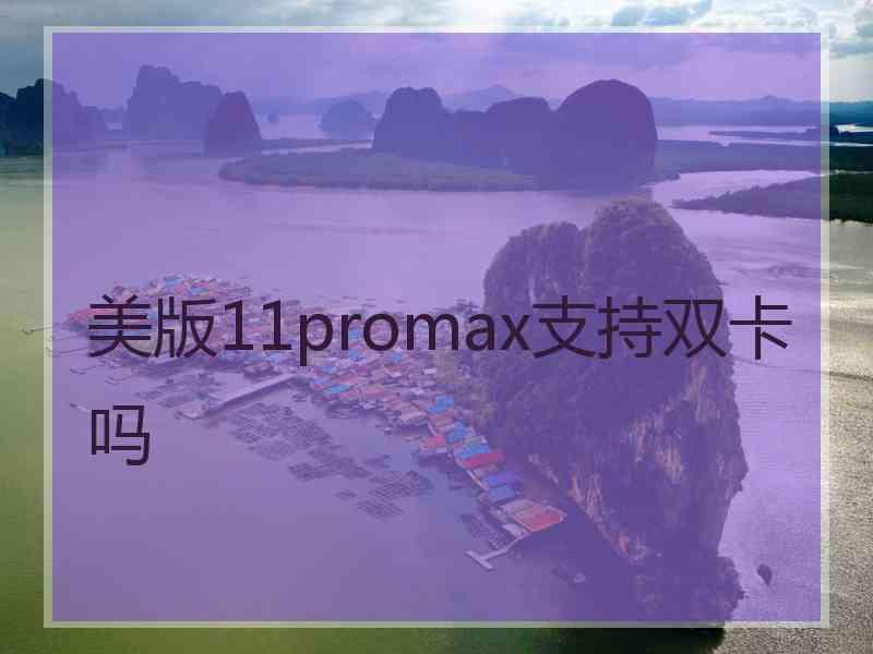 美版11promax支持双卡吗