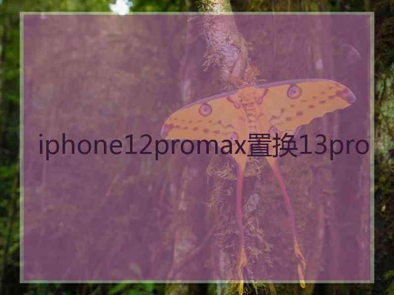 iphone12promax置换13pro