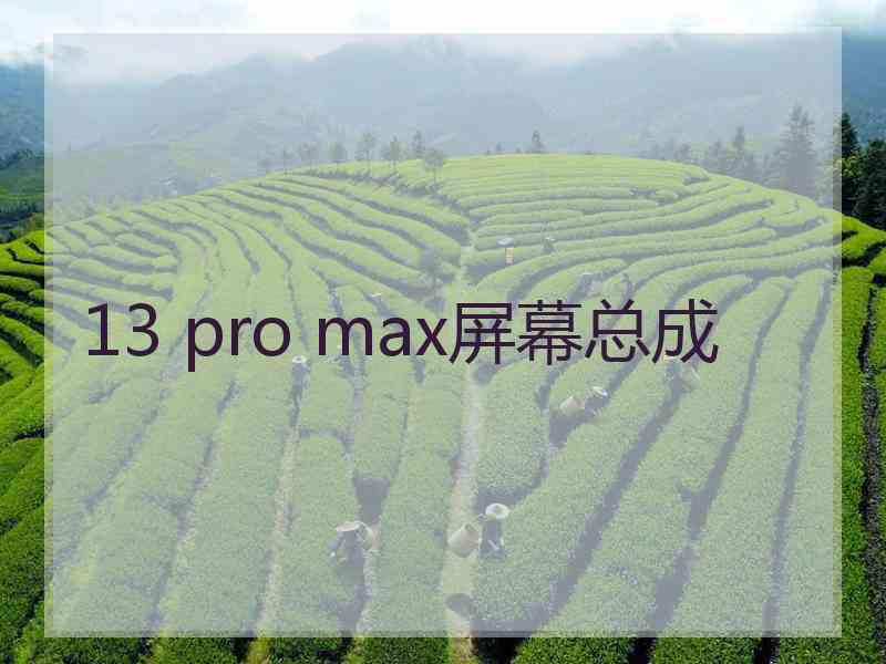 13 pro max屏幕总成