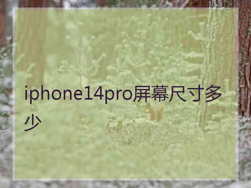 iphone14pro屏幕尺寸多少