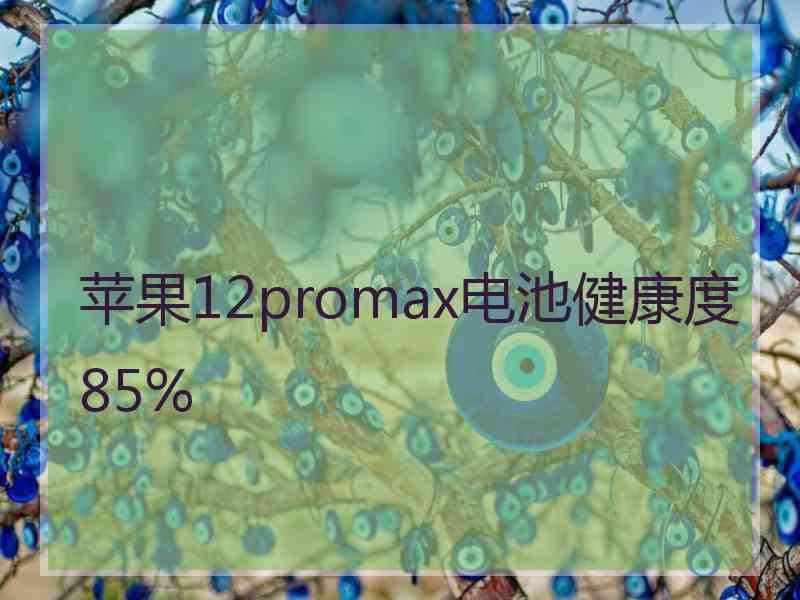 苹果12promax电池健康度85%